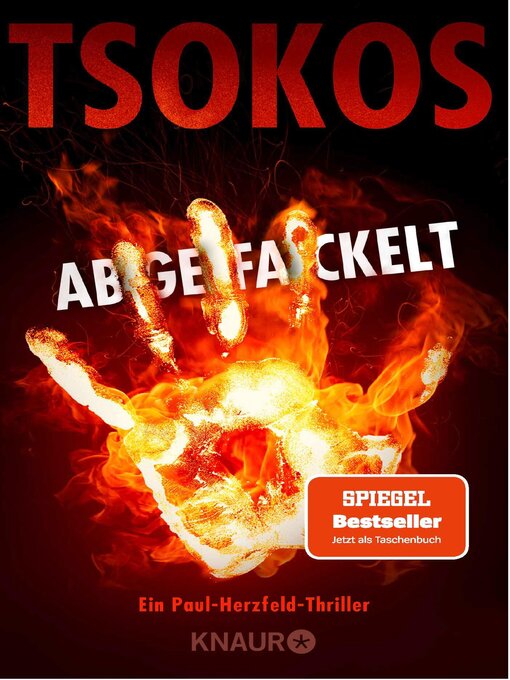 Titeldetails für Abgefackelt nach Prof. Dr. Michael Tsokos - Verfügbar